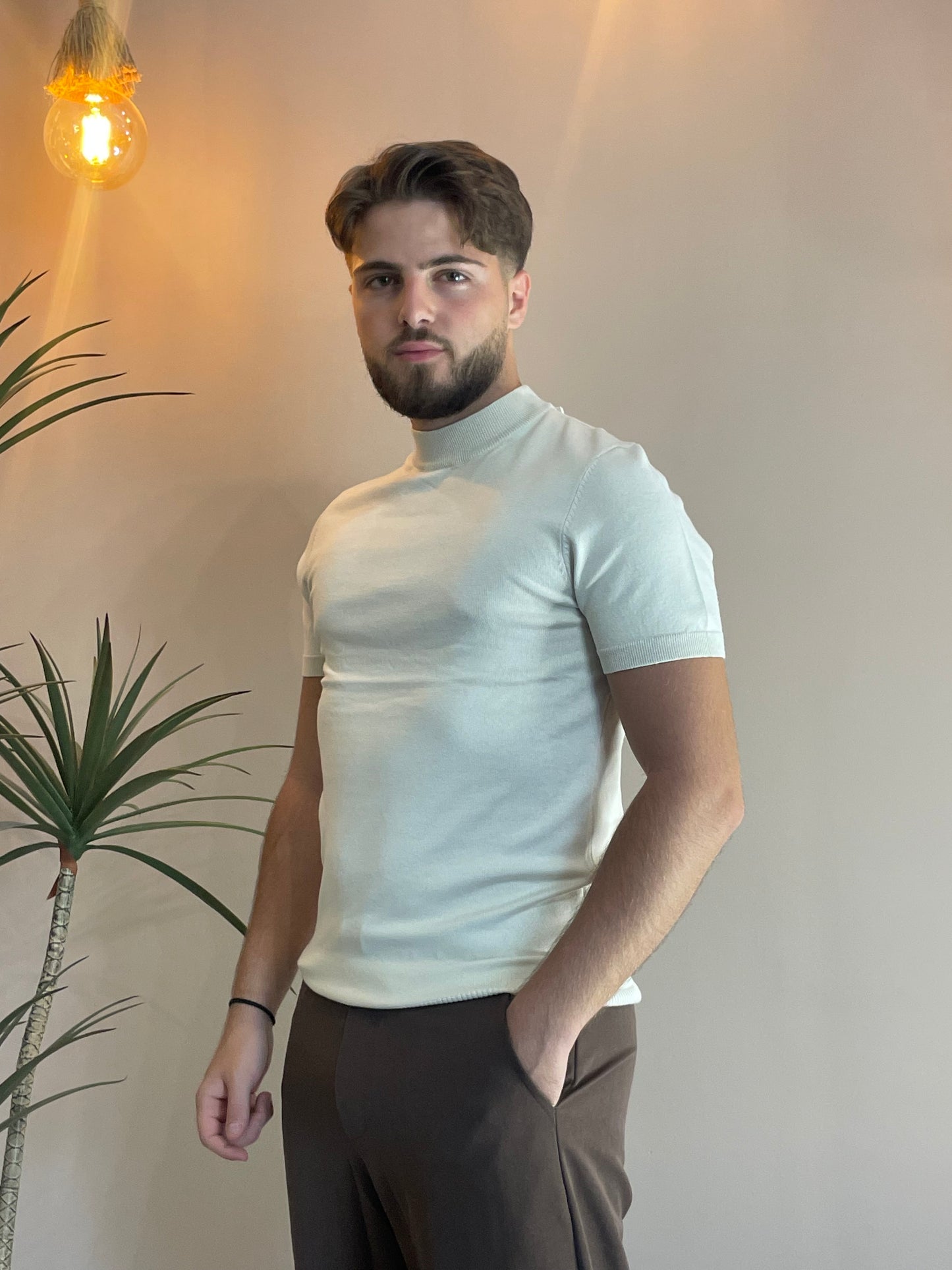 TS Beige